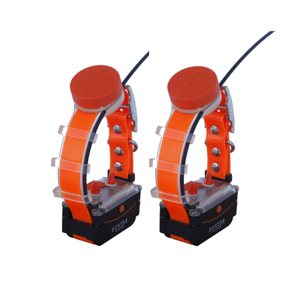 Hunter Köpek Takip GPS Tasma (Şoklu)